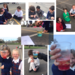 How to make a Lava Lamp